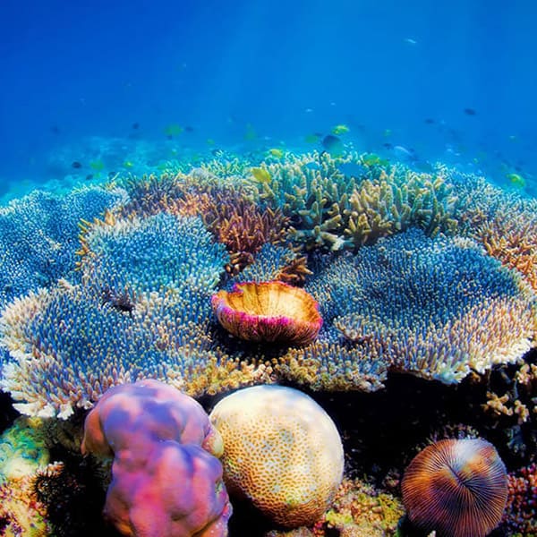 sharm el sheikh AClass Premium